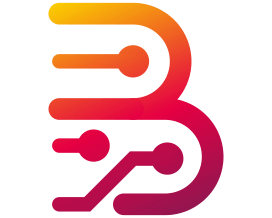 BORNEO 1 USER LICENSE 6 MONTHS ( ACTIVATION + RENEW )